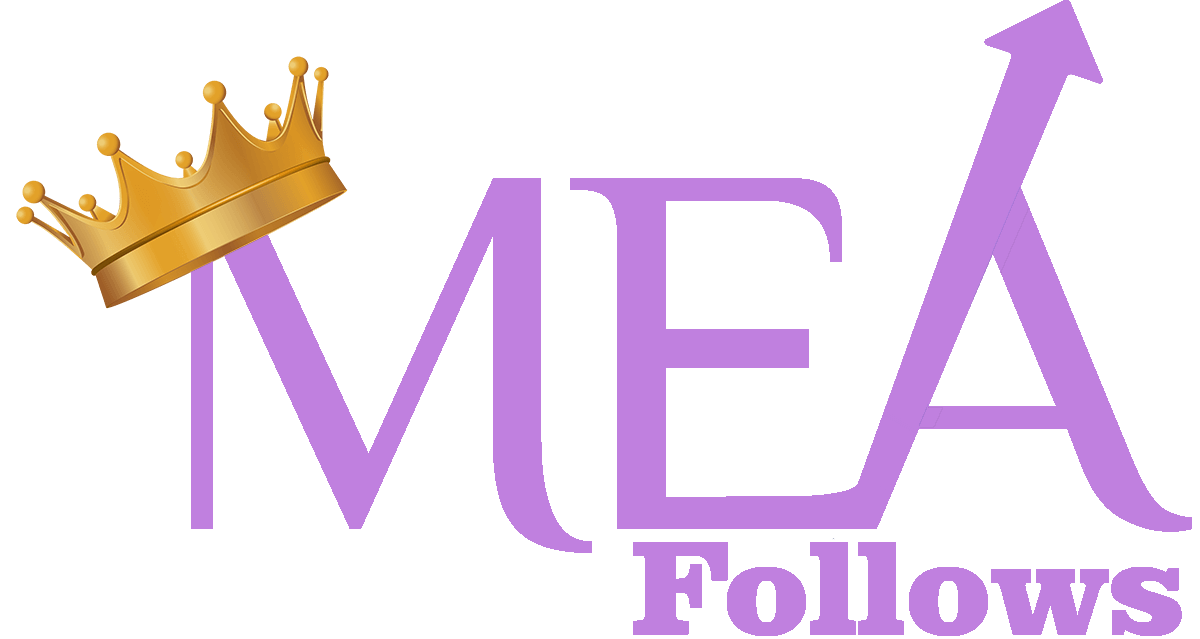 Meafollows - Social Media Services